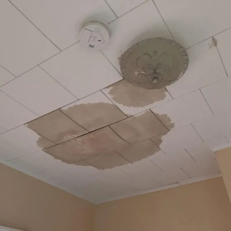 Ceiling Water Damage Repair in Heavener, OK