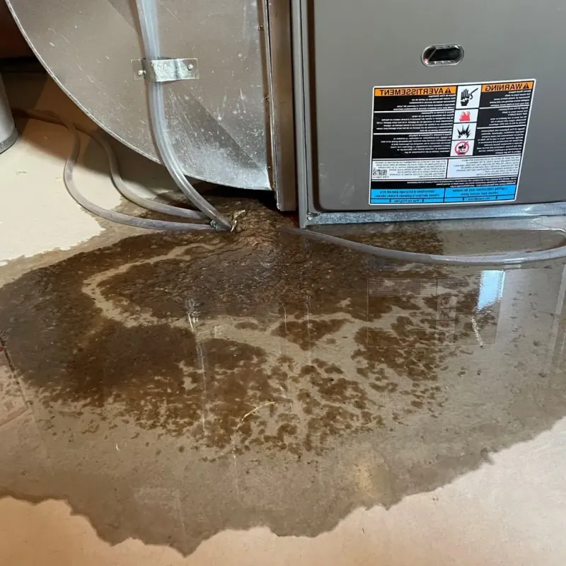 Pipe Burst and Leak Restoration in Heavener, OK